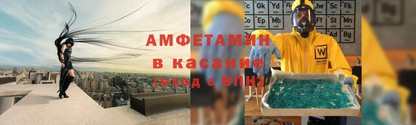 индика Вязники