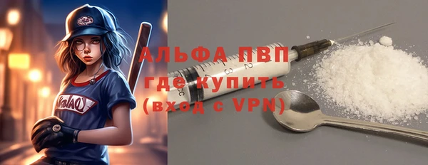 индика Вязники