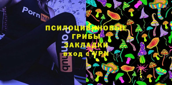 индика Вязники