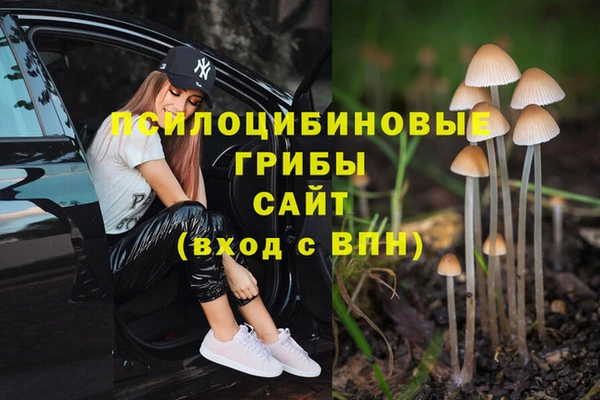ECSTASY Вяземский