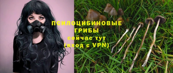 ECSTASY Вяземский