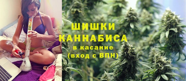 индика Вязники