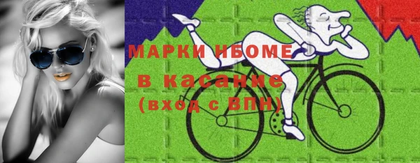 индика Вязники