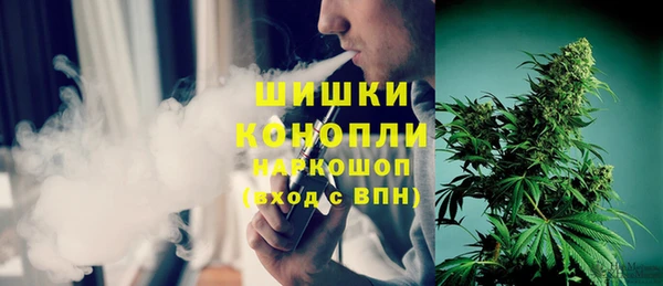 индика Вязники