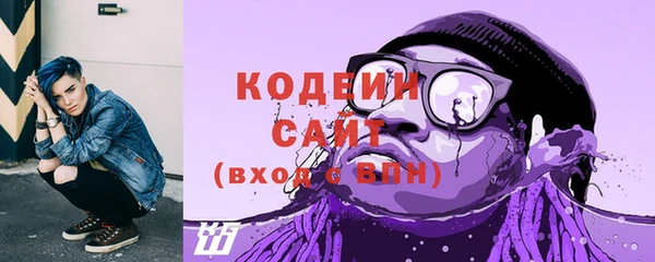 индика Вязники