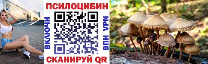 Псилоцибиновые грибы MAGIC MUSHROOMS  Ивангород 